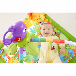 Fisher-Price GXC35 gymnase et tapis d'éveil pour bébé Tissu, Plastique Multicolore Tapis de jeux pour bébé