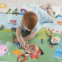 Fisher-Price GXR53 gymnase et tapis d'éveil pour bébé Tissu, Plastique