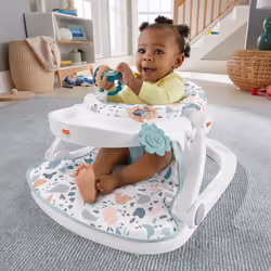 Fisher-Price Siège D’Activités Deluxe Terrazzo