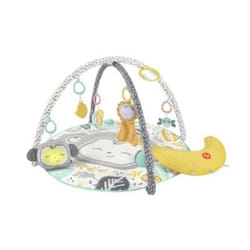 Fisher-Price HBG85 gymnase et tapis d'éveil pour bébé Multicolore Tapis de jeux pour bébé