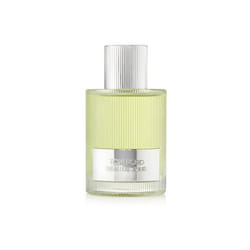 TOM FORD Beau De Jour Hommes 50ml