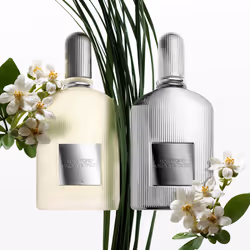 TOM FORD Grey Vetiver 50ml Hommes - Vue supplémentaire 4
