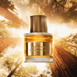 TOM FORD Bois Pacifique 50ml Unisexe - Vue supplémentaire 2