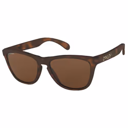 Lunettes de soleil Oakley Frogskins