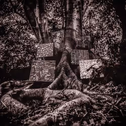 ImportCDs Harmony of Difference, Jazz, CD, Support physique, Adulte, 1 disques, 29/09/2017