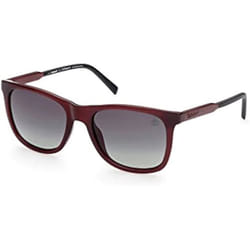 LUNETTES DE SOLEIL TIMBERLAND TB9255-5669R