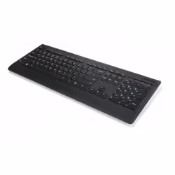 Lenovo Professional, Taille réelle (100 %), Sans fil, RF sans fil, Noir