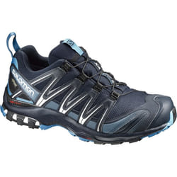 Salomon XA PRO 3D GTX Mâle Adulte Noir, Bleu, Blanc