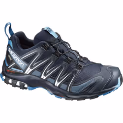 Salomon XA PRO 3D GTX, Course, Mâle, Adulte, Noir, Bleu, 42.7 (42 2/3), EUE