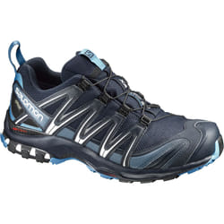 Salomon XA PRO 3D GTX Chaussure d'athlétisme Mâle 44.3 (44 1/3) Noir, Bleu