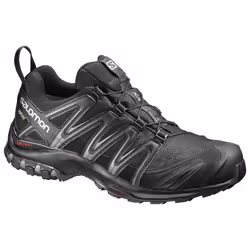 Salomon XA Pro 3D GTX