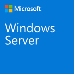 Microsoft Windows Server CAL 2022 Base de données Licence d'accès client 1 licence(s)