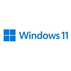 Microsoft Windows 11 Pro for Workstations 1 licence(s)