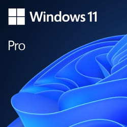 Microsoft Windows 11 Pro Produit complètement emballé (FPP) 1 licence(s)