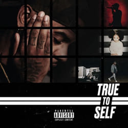 ImportCDs True to Self CD R&B