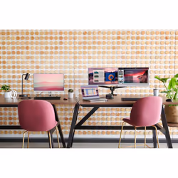 HP Bras pour 2ème moniteur Hot Desk