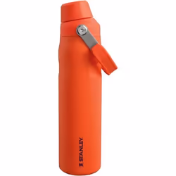 Stanley Aerolight IceFlow 0.6L Gourde Sport Isotherme - Tigerlily Plum