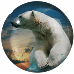 Petit magnet en verre rond Ours Blanc
