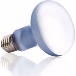 Exo Terra PT2133, 100 W, 1 pièce(s), R25, 2640 K, Lumière de jour, 780 lm