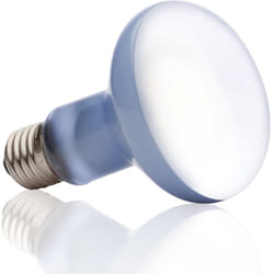 Exo Terra PT2133 lampe chauffante pour reptile 100 W 1 pièce(s)
