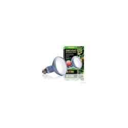 Daylight basking spot ampoule 150 w Exo Terra PT2134A1