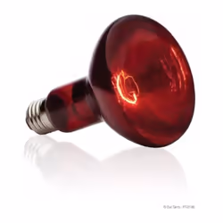 Cette ampoule chauffante typique émet des ondes de chaleur infrarouge - Elle comporte un réflecteur spécial intégré permettan ...