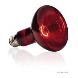 Basking spot lampe infrarouge 75 w