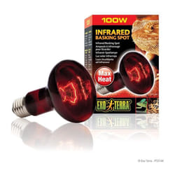 Exo Terra PT2144 lampe chauffante pour reptile 100 W 1 pièce(s)
