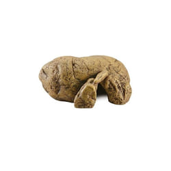 Exo Terra PT2931 ornement de décor d’habitat pour amphibiens et reptiles Cave 1 pièce(s)