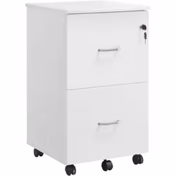 Description générale Le caisson VASAGLE à deux tiroirs spacieux est conçu pour organiser efficacement votre paperasse, allant ...