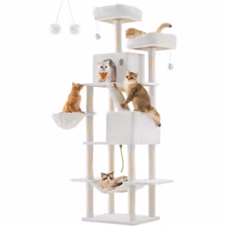Description générale Avec 206 cm de haut, 5 niveaux et une distance entre chaque niveau de 30-40 cm, cet arbre à chat en tiss ...