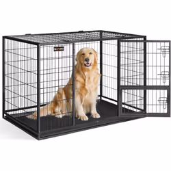 Description générale La cage pour chien Feandrea est conçue pour offrir confort et sécurité à votre animal. Fabriquée en fils ...