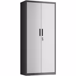 Polyvalente : utilisez cette armoire en métal dans votre bureau pour ranger des fichiers et des documents et créer un espace ...