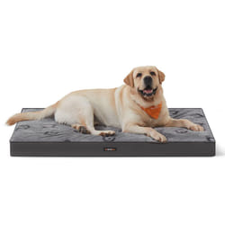Panier pour Chiens, Coussin pour Animaux, Mousse Alvéolée, avec Poignée, Déhoussable, Utilisable des 2 Côtés, Hydrofuge, Taille xxl, 120 x 74 x 10