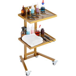 Chariot de laboratoire en acier inoxydable, chariot utilitaire a 2 etageres, unite mobile silencieuse a 4 roues pour laboratoires, cliniques,