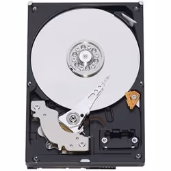 Western Digital Caviar Blue 250GB, 3.5", 250 Go, 7200 tr/min