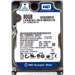 Western Digital Scorpio Blue 80GB, 2.5", 80 Go, 5400 tr/min