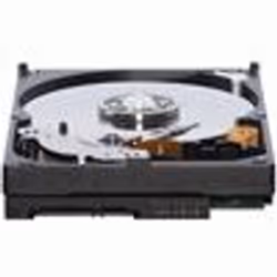 Western Digital Caviar GP 500 GB 3.5" 500 Go Série ATA II