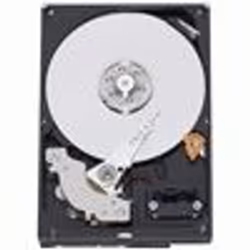 Western Digital Caviar GP 500 GB 3.5" 500 Go Série ATA II