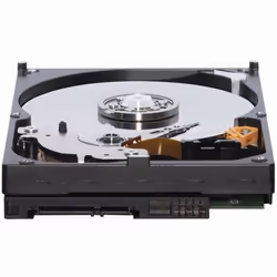 Western Digital Caviar Blue 640GB, 3.5", 640 Go, 7200 tr/min