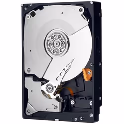 Western Digital Caviar Black 1TB disque dur 1 To 7200 tr/min 32 Mo 3.5" Série ATA II