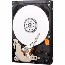 Western Digital AV-25, 2.5", 320 Go, 5400 tr/min