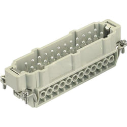 Insert mâle Harting 09330242601 Han® e 24 + pe raccord à vis 1 pc(s) D19103
