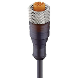 Connecteur confectionné pour capteurs/actionneurs M12 Lumberg Automation RKT/LED A 4-3-224/5 M 17615-1 femelle, droit 5