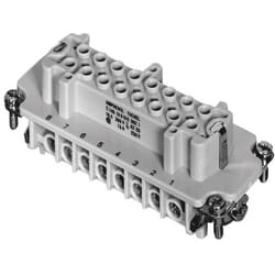 Insert femelle Nombre total de pôles 16 + pe Amphenol C146 10B016 002 1-1 Heavy/mate® C146 1 pc(s)