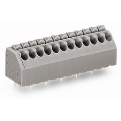 Wago 250-210 bornier 10P Gris