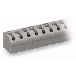 Wago 250-602 bornier 2P Gris