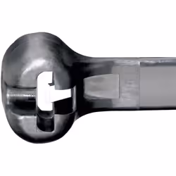 Panduit BT1.5M-C0, Nylon, Noir, 3,8 cm, CE, CSA, 160 mm, 2,4 mm