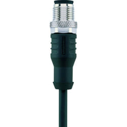 Câble M12 pour capteurs/actionneurs Automation Line Escha AL-WAS12-2/S370 8046926 Pôle: 12 Contenu: 1 pc(s)