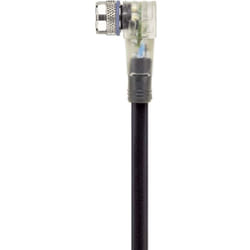 Câble M8 pour capteurs/actionneurs Automation Line led Escha AL-SWKP3P2-5/S370 8045419 Pôle: 3 Contenu: 1 pc(s)